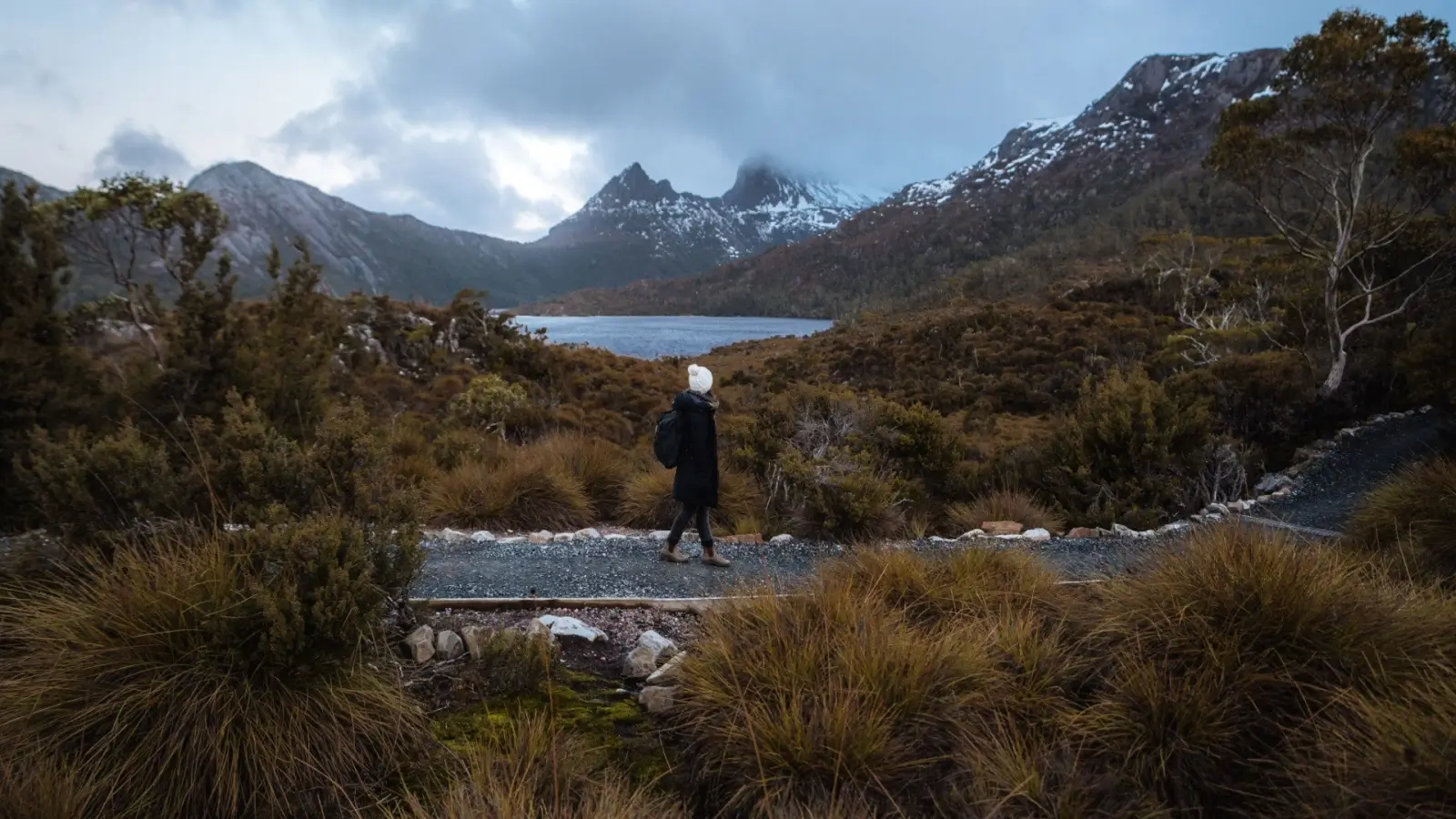 Tour a la demi-journée du parc National de Cradle Mountain